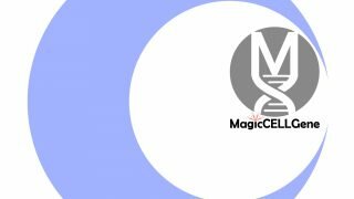 magiccellgene